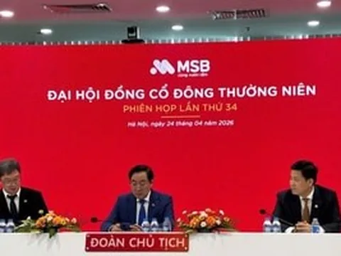ĐHĐCĐ MSB: Tham vọng lãi 8.000 tỷ, chia cổ tức 20%