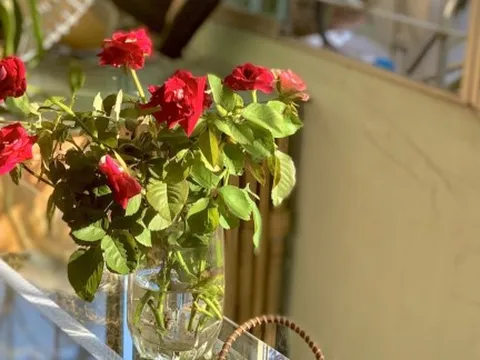 Từ bỏ "hoa gói theo tháng", cô gái Hà Nội tìm thấy niềm vui tiết kiệm từ những gánh hàng rong