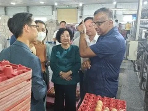 Ba Huân nợ bảo hiểm xã hội kéo dài, rớt khỏi kệ nhiều siêu thị: Tiếc nhưng phải học!