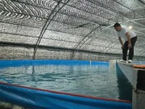 Nuôi cá thu ngay trên đất liền: "Siêu công nghệ" từ ông lớn chăn nuôi Việt Nam và liên minh Nhật - Hàn