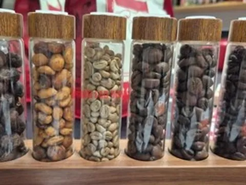 Giá cà phê hôm nay 26-4: Khó chốt thời điểm mua bán