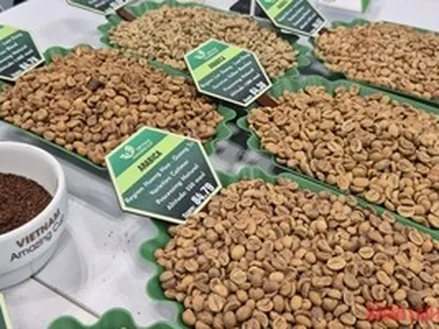 Giá cà phê hôm nay 28-4: Đồng loạt giảm, cà phê đặc sản gây bất ngờ