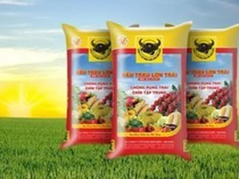 Cổ phiếu phân bón “ngược sóng”, hút mạnh dòng tiền trong phiên thị trường chứng khoán “rực lửa”