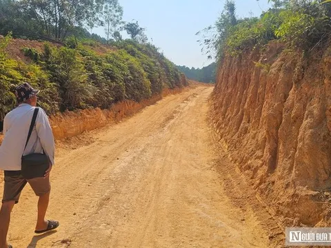 Chủ rừng kiến nghị cho tiếp tục khai thác gần 40ha rừng không hồ sơ pháp lý ở Huế