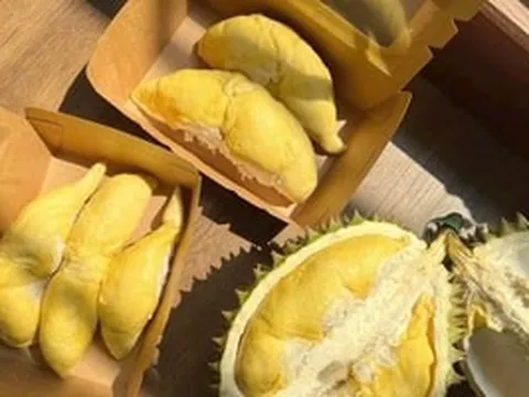 Từ hơn 100.000 xuống 20.000 đồng/kg: Giá sầu riêng Ri6 ‘lao xuống đáy’, ai đang ép nông dân?