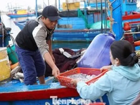 'Đột nhập' chợ mực Cửa Lở lúc rạng sáng