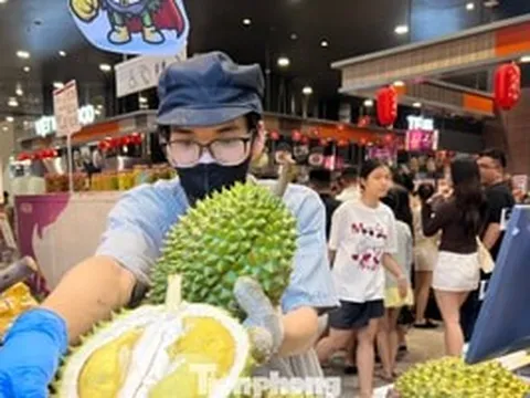 Vì sao giá sầu riêng chỗ đắt đỏ, nơi lao dốc?
