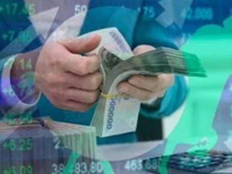 Hai doanh nghiệp chốt ngày trả cổ tức tiền mặt tỷ lệ 50%
