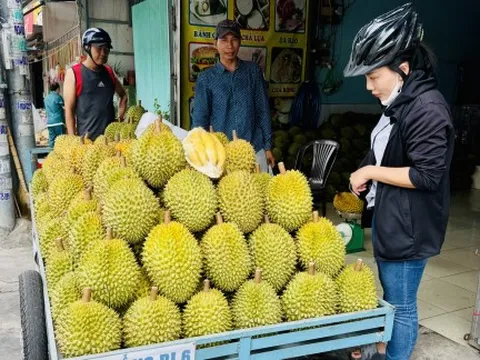 Mới đầu mùa, sầu riêng đã rớt giá mạnh