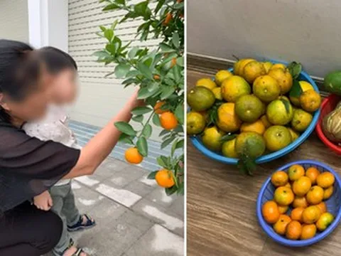 Nàng dâu 3 năm không về quê nghỉ lễ, hổ thẹn trước hành động của bố mẹ chồng U80