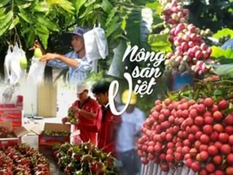Việt Nam 'hái' ra tiền nhờ xuất khẩu mặt hàng này: 4 tháng bỏ túi 5,4 tỷ USD tiền lãi
