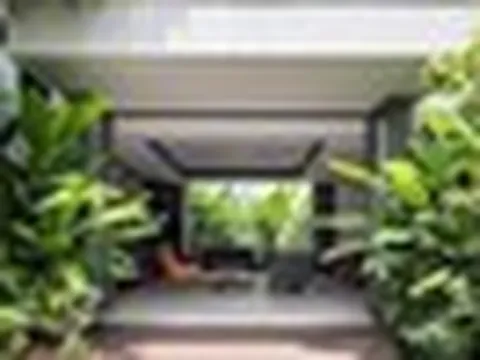 5 loại cây không nên trồng trước cửa nhà: Cây càng xanh tốt nhà càng suy