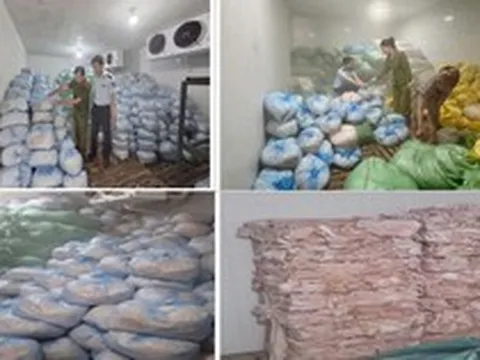 Thanh Hóa thu giữ 2 kho hàng chứa 14 tấn bì lợn, tổng giá trị hơn 400 triệu đồng