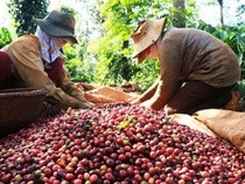 Giữa 'cơn bão' giảm giá, một mặt hàng của Việt Nam vẫn đón tin vui lớn từ EU