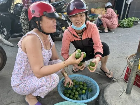 Chanh tăng giá gấp 3 vẫn khó mua được trái ngon