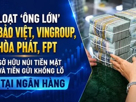 Loạt ‘ông lớn’ Bảo Việt, Vingroup, Hòa Phát, FPT sở hữu núi tiền mặt và tiền gửi khổng lồ tại ngân hàng
