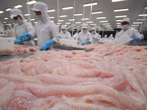 Xuất khẩu nông, lâm, thủy sản tiếp tục tăng trưởng nhưng áp lực vẫn còn lớn