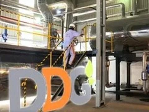 DDG đối diện nguy cơ hủy niêm yết sau chuỗi kinh doanh thua lỗ kéo dài