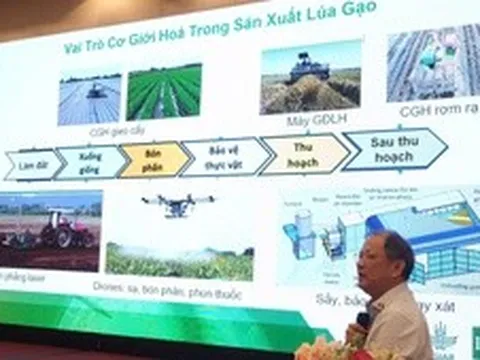 Chuyển đổi số mở đường cho cơ giới hóa thông minh ngành lúa gạo ĐBSCL