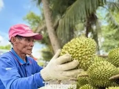 Lưu ý quan trọng về xuất khẩu nông sản sang Trung Quốc từ 1/6