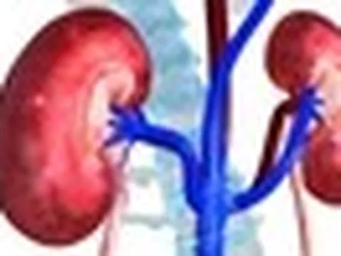 Bác sĩ tiết niệu cảnh báo: Nhiều quả thận bị hỏng “oan uổng” chỉ vì những sai lầm rất phổ biến
