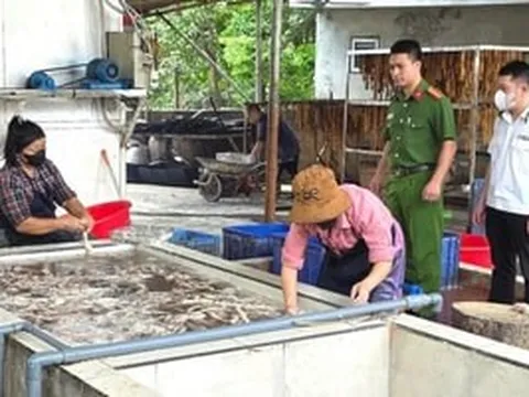 Đột kích cơ sở thực phẩm, lực lượng chức năng phát hiện 3 tấn lòng lợn hôi thối tại Bắc Ninh