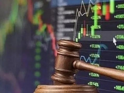 Người nhà của nữ CEO Thép Tiến Lên bị phạt nặng