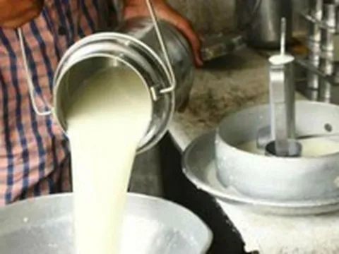 Đột kích một căn nhà, công an triệt phá đường dây sản xuất sữa giả từ hóa chất, tịch thu bột mì, sorbitol và máy pha trộn công nghiệp