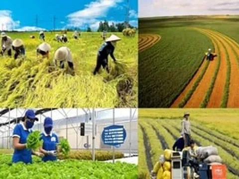 Lớn nhất từ trước đến nay: Bộ Nông nghiệp và Môi trường đề xuất 'xóa sổ' 100 quy định