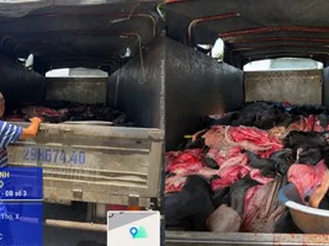 Phát hiện hơn 4 tấn da trâu, bò bốc mùi trên đường về Hà Nội tiêu thụ