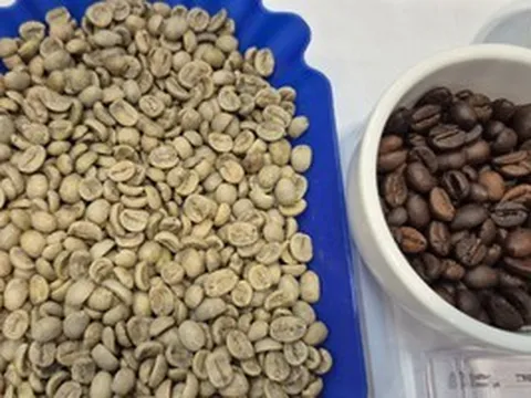 Giá cà phê hôm nay 28-5: Arabica giảm mạnh, Colombia trúng mùa
