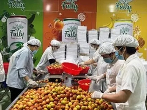 3 thị trường khó tính nhất thế giới chốt đơn gần 43.000 tấn 'quả tiến vua' Việt Nam