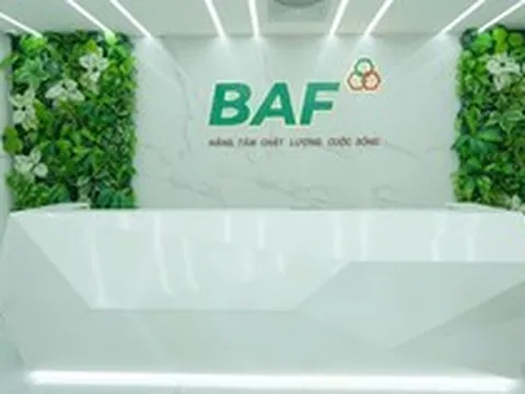Baf Việt Nam thâu tóm thêm doanh nghiệp chăn nuôi tại Quảng Trị
