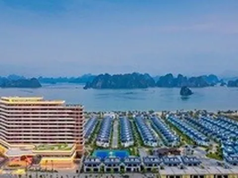 CEO Group chốt ngày phát hành hơn 28 triệu cổ phiếu trả cổ tức