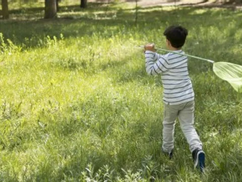 Gửi con về quê nghỉ hè, em út nổi trận lôi đình vì dòng tin nhắn của chị dâu