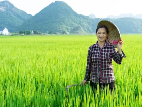 Kinh tế xanh có thật sự công bằng với phụ nữ?