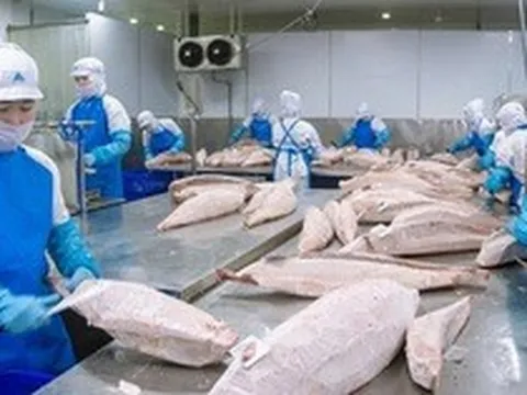 Việt Nam đón tin vui mới từ Nga