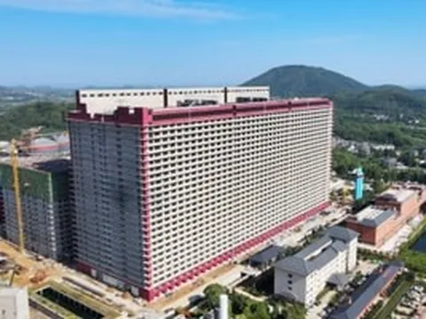 Không chăn thả truyền thống, một doanh nghiệp vừa trình Hà Nội dự án đưa hàng ngàn con lợn lên sống trong các tòa nhà 'chung cư' công nghệ cao