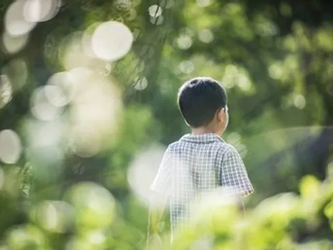 Mẹ chồng bất ngờ 'báo giá' 50 triệu đồng để trông cháu mùa hè, gia đình náo loạn