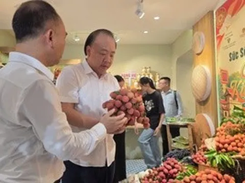 Xuất hiện "chợ phiên Kinh Bắc" ở phố Tràng Tiền