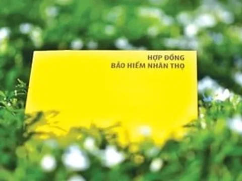 Thêm 'tân binh' gia nhập thị trường bảo hiểm nhân thọ Việt Nam