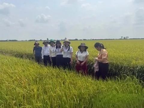 Nông dân tỷ phú ở Đồng Tháp mỗi năm kiếm được 25 tỷ đồng, hiện trồng cây gì và nuôi con nào?