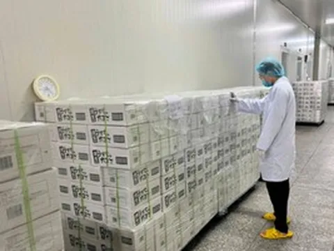 Một loại sản phẩm ăn liền của Việt Nam lần đầu tiên được xuất khẩu sang Nhật Bản