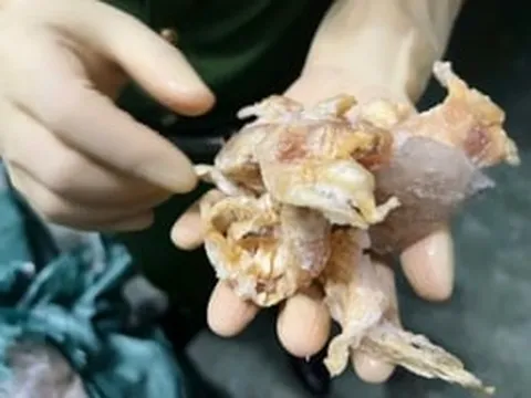 Triệt phá đường dây tuồn hơn 10.000 tấn chân gà vùng dịch ra thị trường