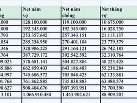 Từ mức lương 10 triệu đồng, cặp vợ chồng 9X chia sẻ hành trình chạm mốc thu nhập tiền tỷ