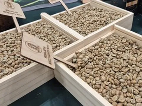 Giá cà phê hôm nay, 24-6: Arabica tăng nóng