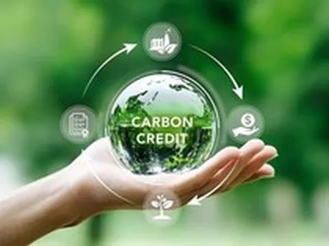 Chuẩn bị vận hành chính thức sàn giao dịch các-bon trong nước