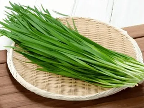 Loại rau mọc quanh bờ rào, được ví ‘nhân sâm nhà nghèo’, giá chỉ 25.000 đồng/1kg