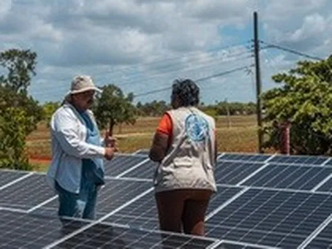 Điều kỳ diệu tại Cuba: "Vựa nông sản" hồi sinh sau thảm họa kép, nông dân tự tay dùng "kho báu trời ban"