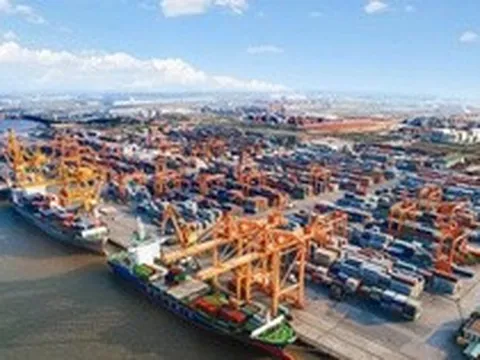 Cảng Đình Vũ sắp họp ĐHĐCĐ bất thường để kiện toàn nhân sự